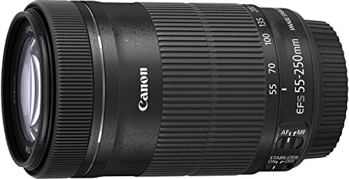 Canon - 8546B002 - Objectif - EF-S 55-250 mm f/4-5,6 IS STM (B00EP71ETU)