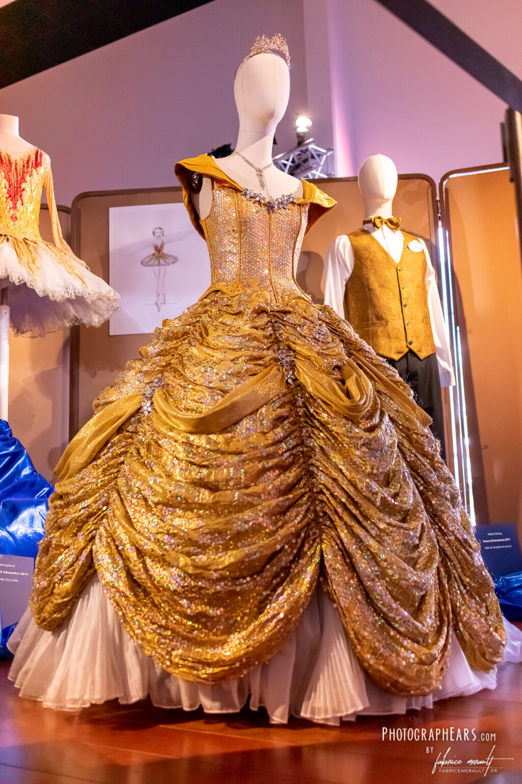Robes des princesses de Disneyland Paris PhotographEars