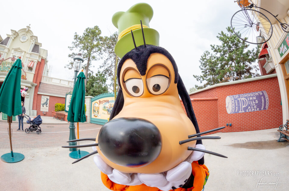 Anniversaire de Goofy (Dingo) — 89 ans