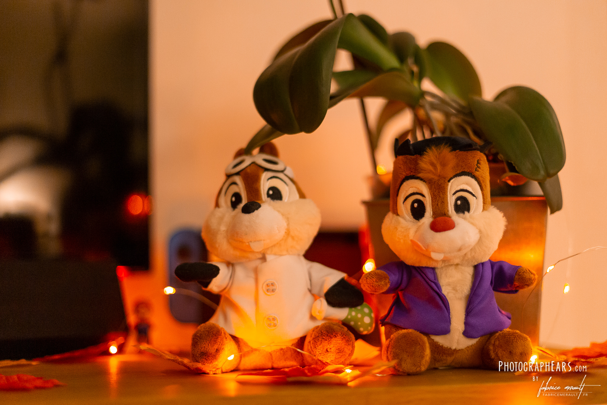 Déco d'Halloween... Disney ! — Tic & Tac en savants fous